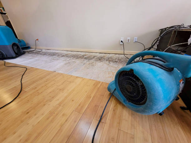 Professional Burst Pipe Water Damage technician working in Selma, OR